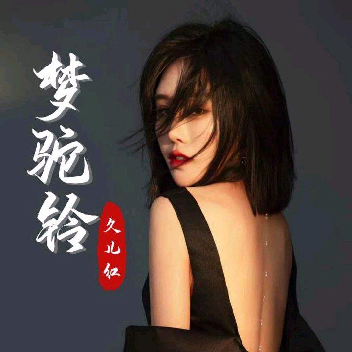 梦驼铃(新声版)(DJ 默涵版)