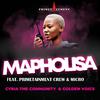 Cyria the Community - Mapholisa