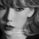 Spark/火花（中文版）