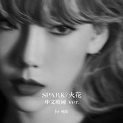 Spark/火花（中文版/纯人声）（翻自 泰妍）