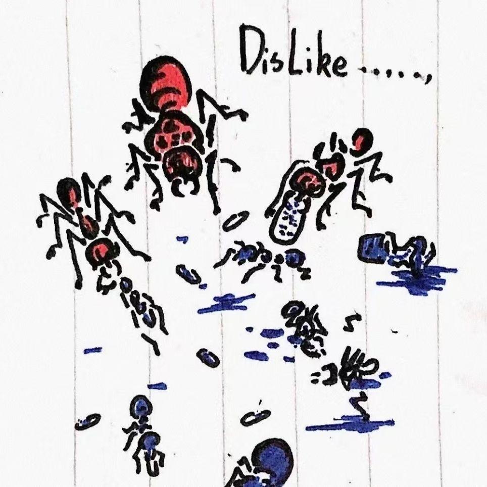 蚁群