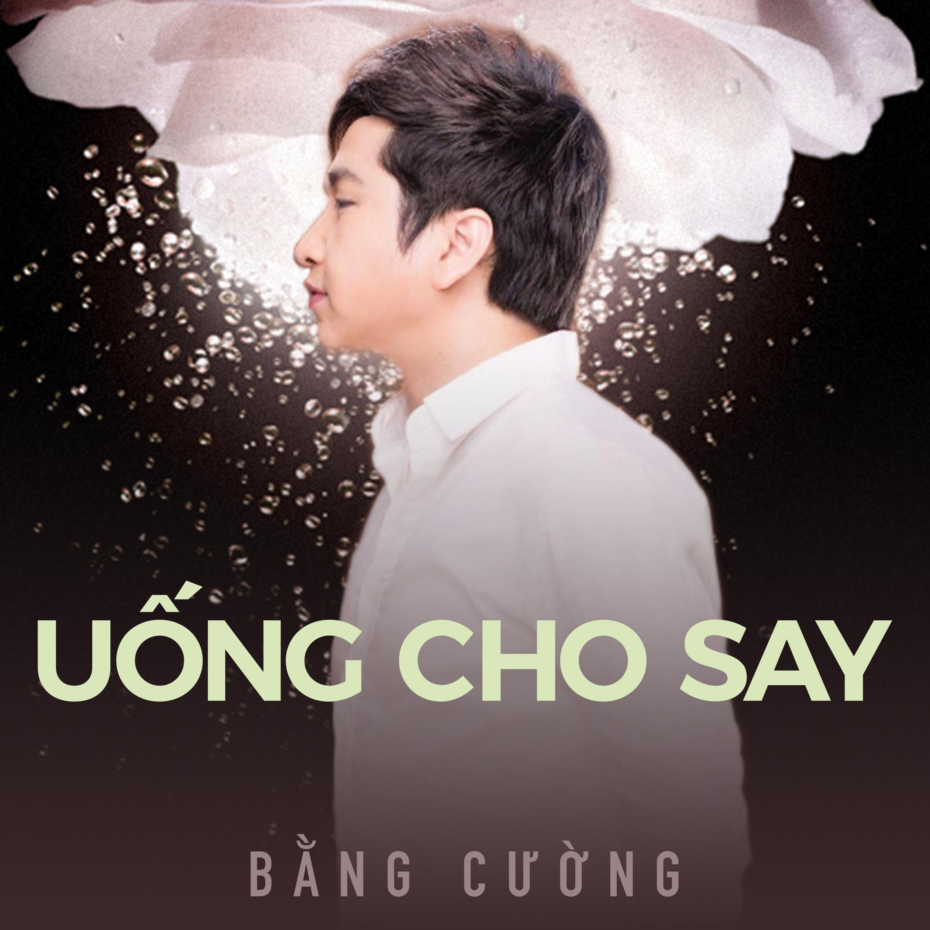 Bằng Cường - Em Nhớ Anh Không