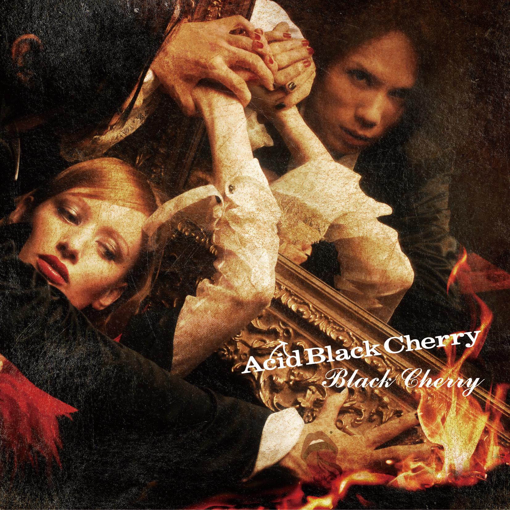 Black Cherry Acid Black Cherry专辑下载 无损音乐下载 Mp3歌曲下载