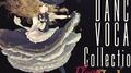 "Starlight Dance Floor" Hatsunetsumiko's Dance Vocal Collection Vol.1专辑