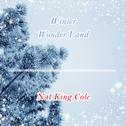Winter Wonder Land专辑