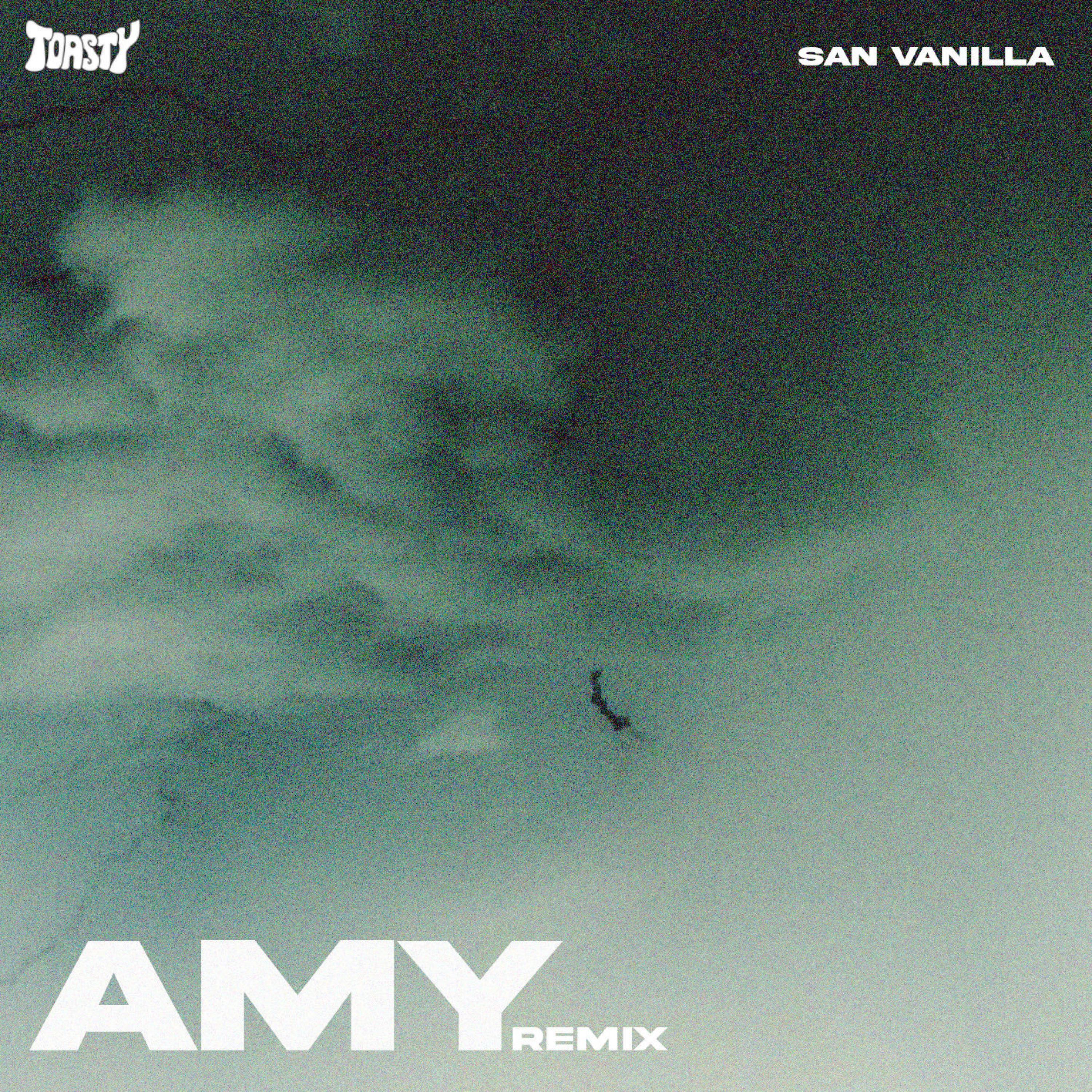 Amy RMX (Toasty remix) (Toasty remix)