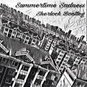 Summertime sadness(Sherlock Bootleg)专辑