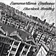 Summertime sadness(Sherlock Bootleg)