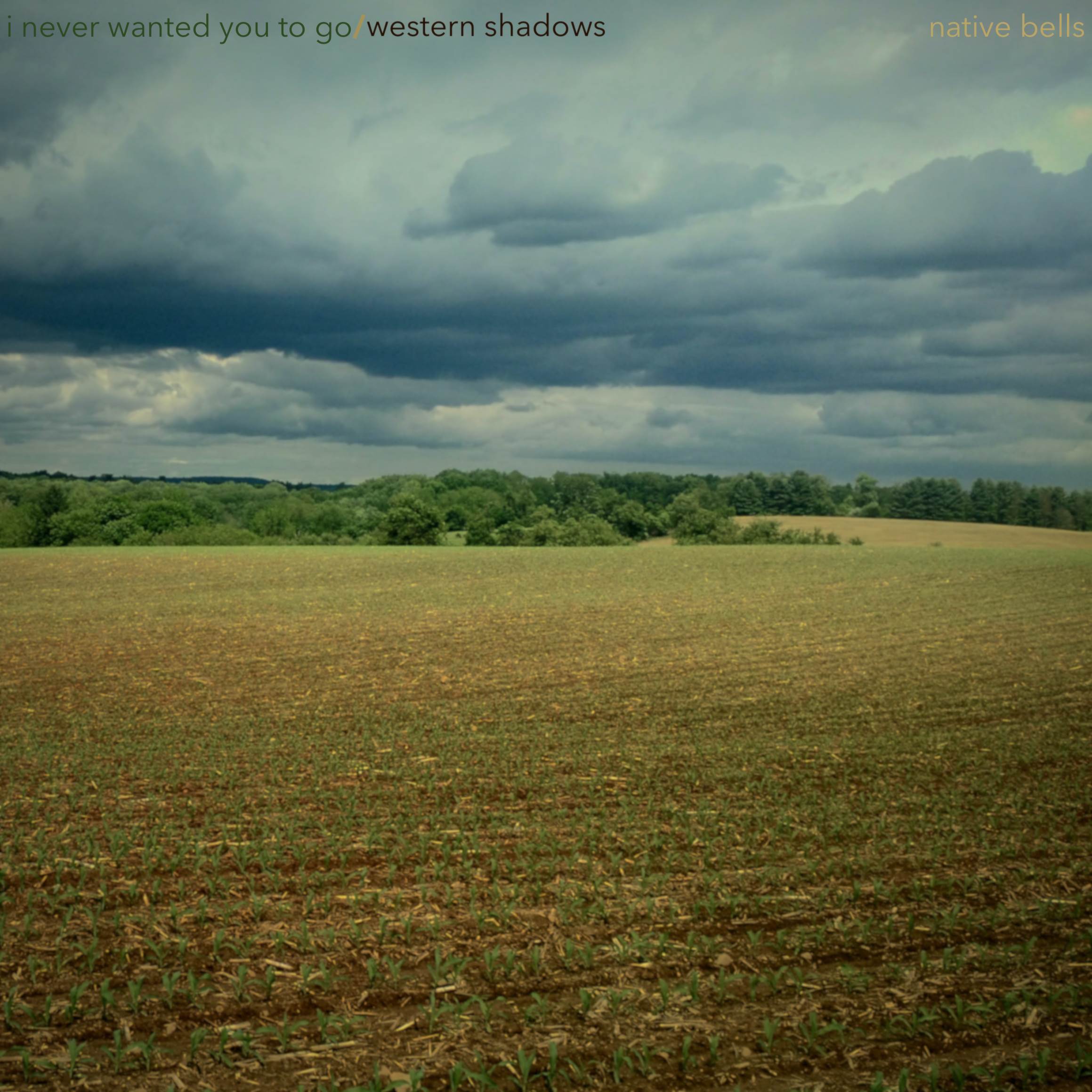 I Never Wanted You To Go/Western Shadows