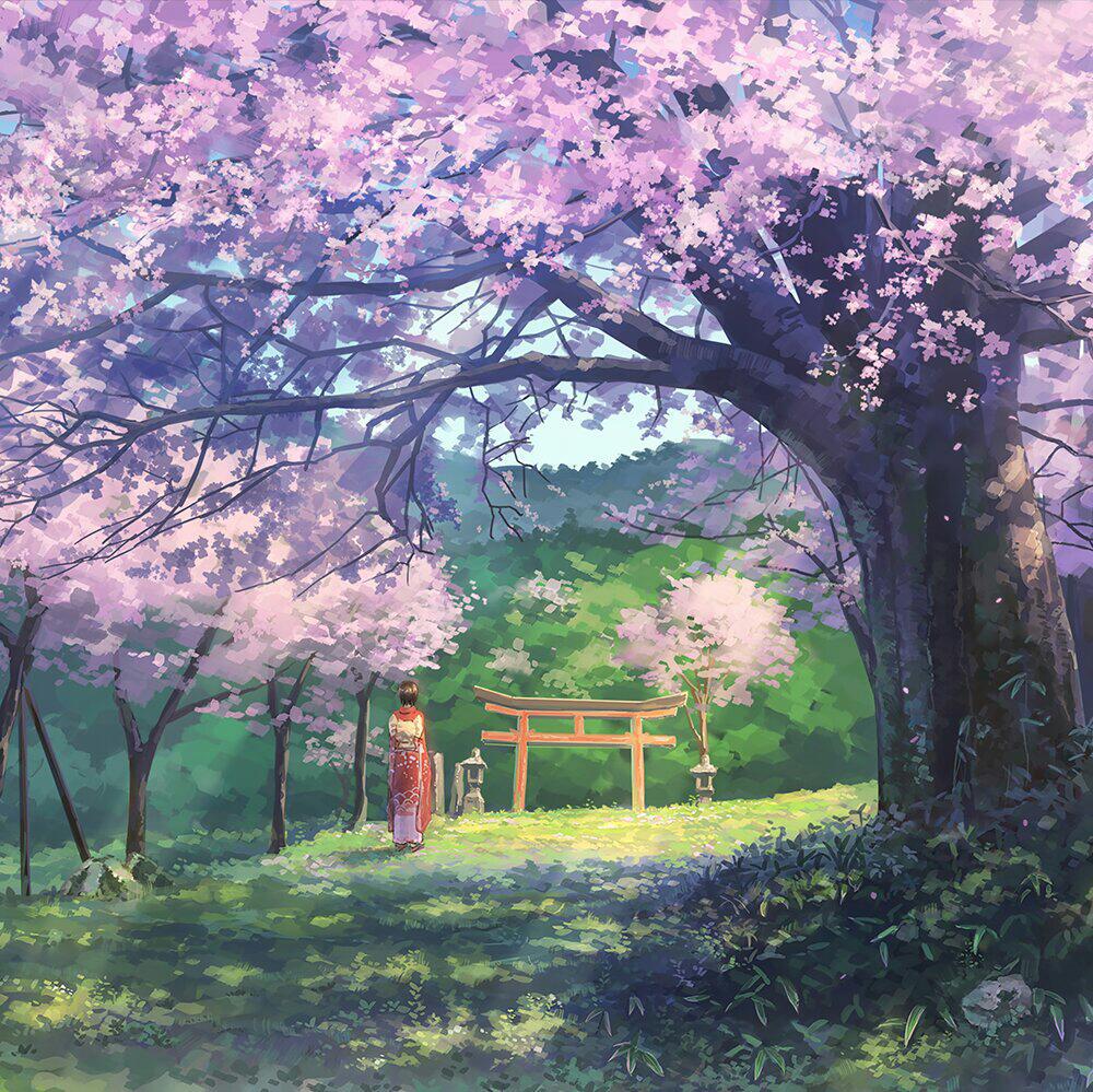 我的歌单: sakura