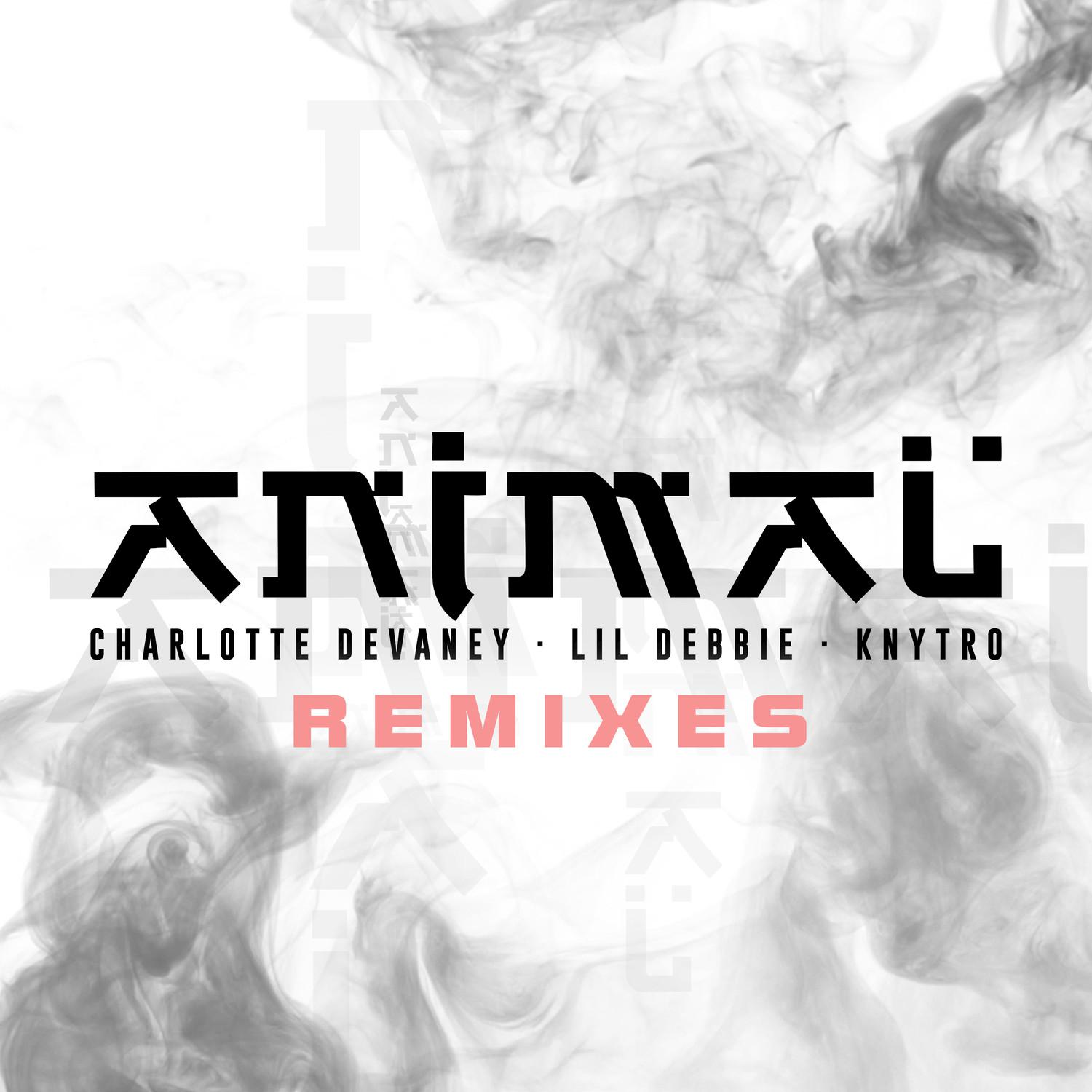 Charlotte Devaney - Animal (PAAEEDS Remix)