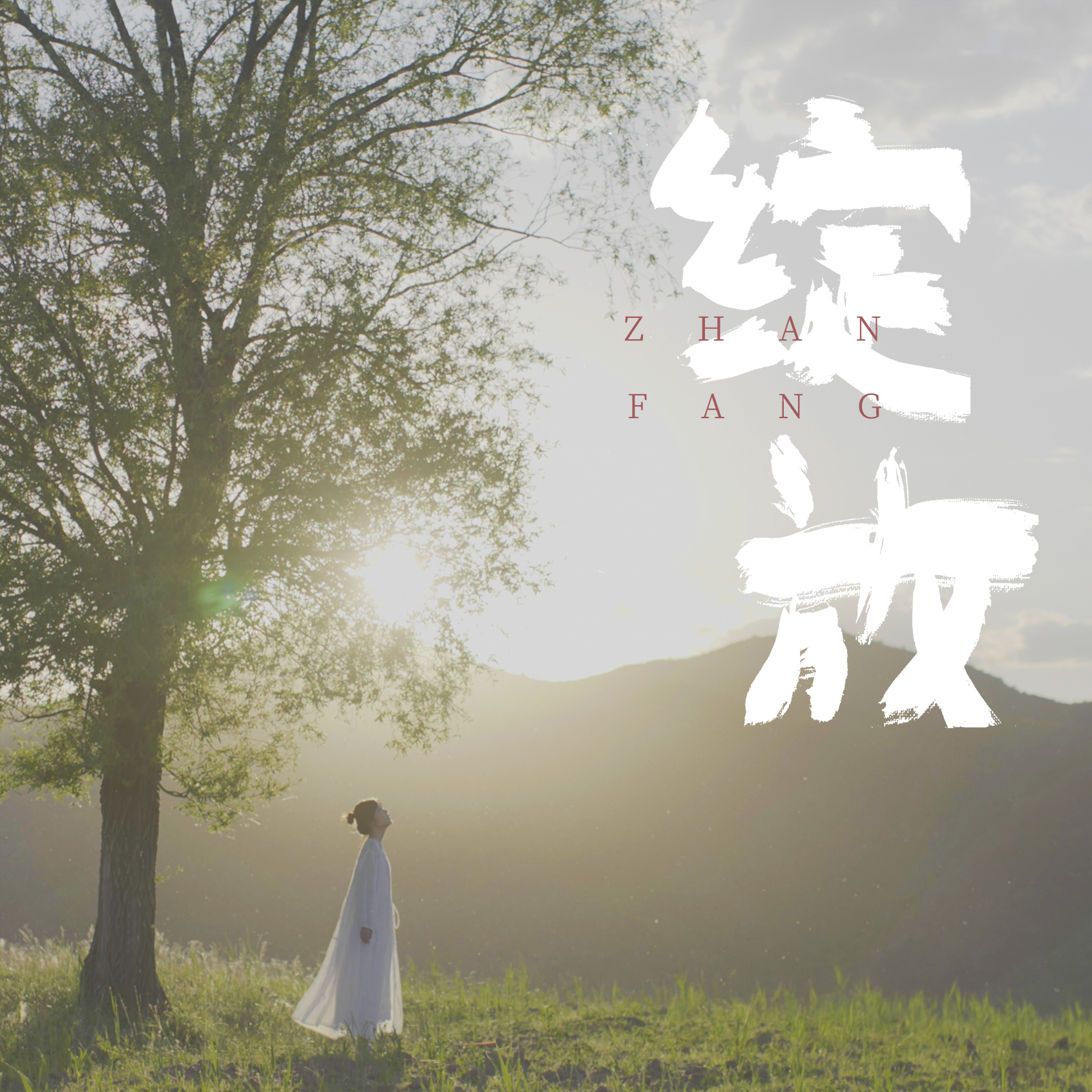 绽放