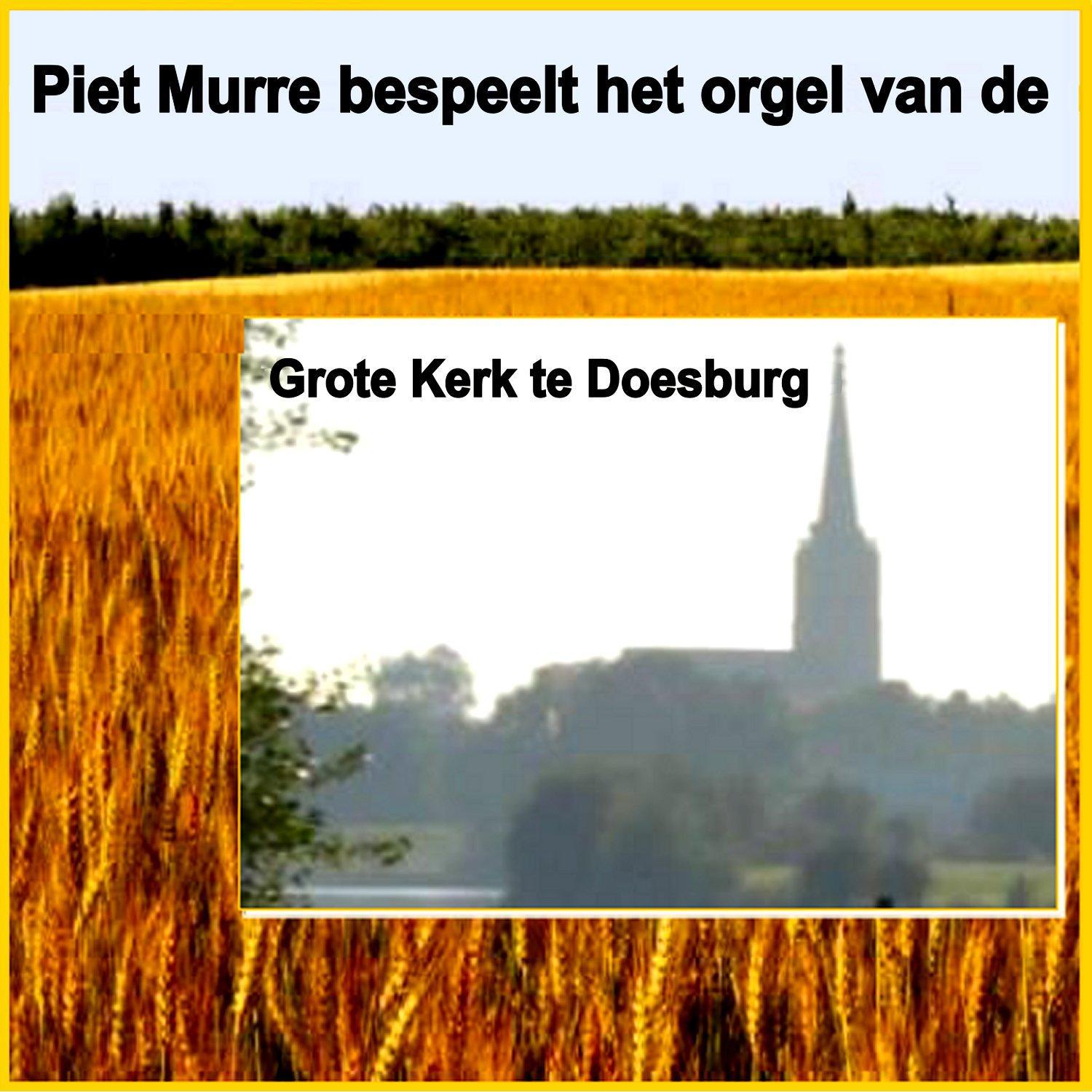 Piet Murre bespeelt het Orgel van de Grote Kerk te Doesburg专辑