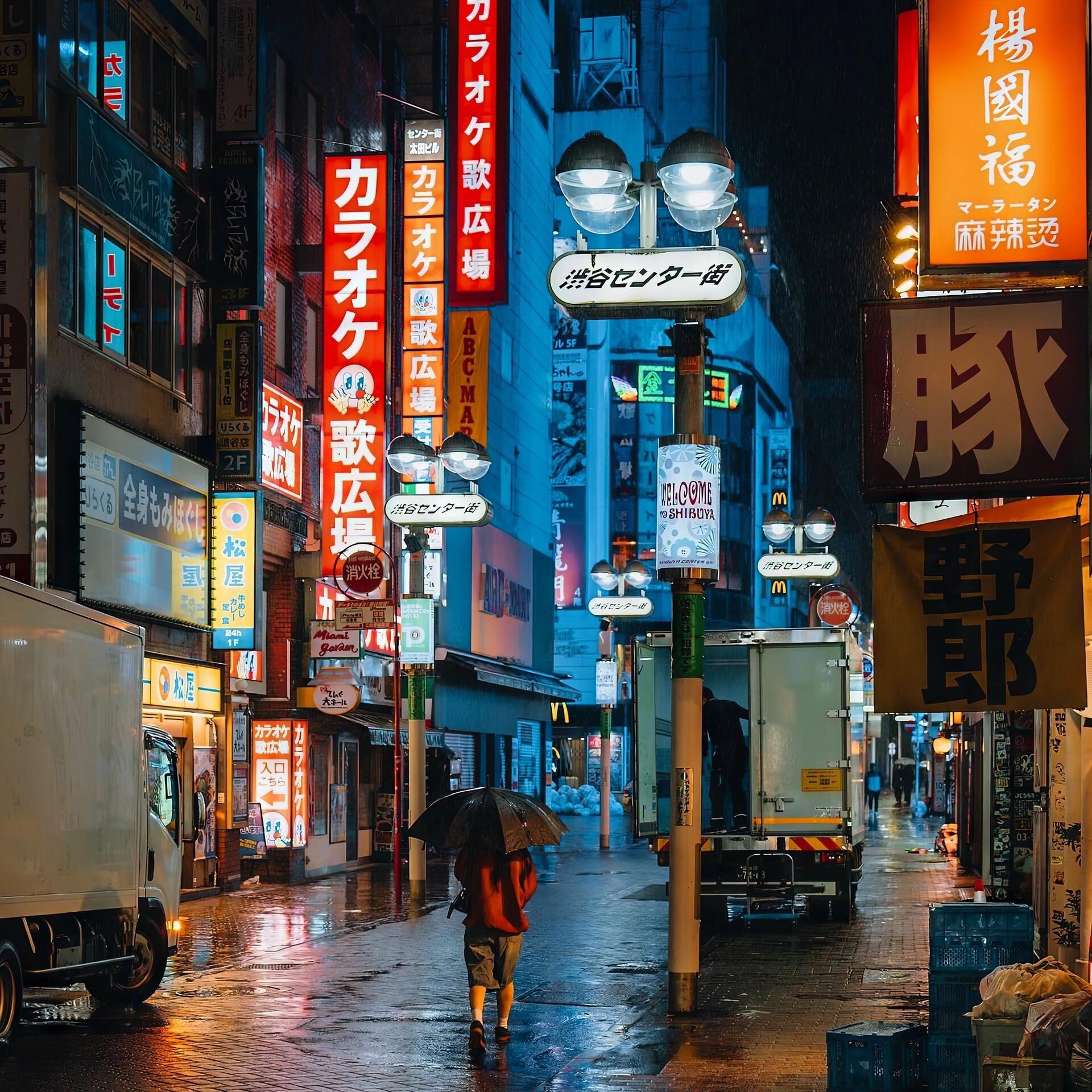 indonesi（纯音乐）