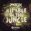 Rumble In The Jungle专辑