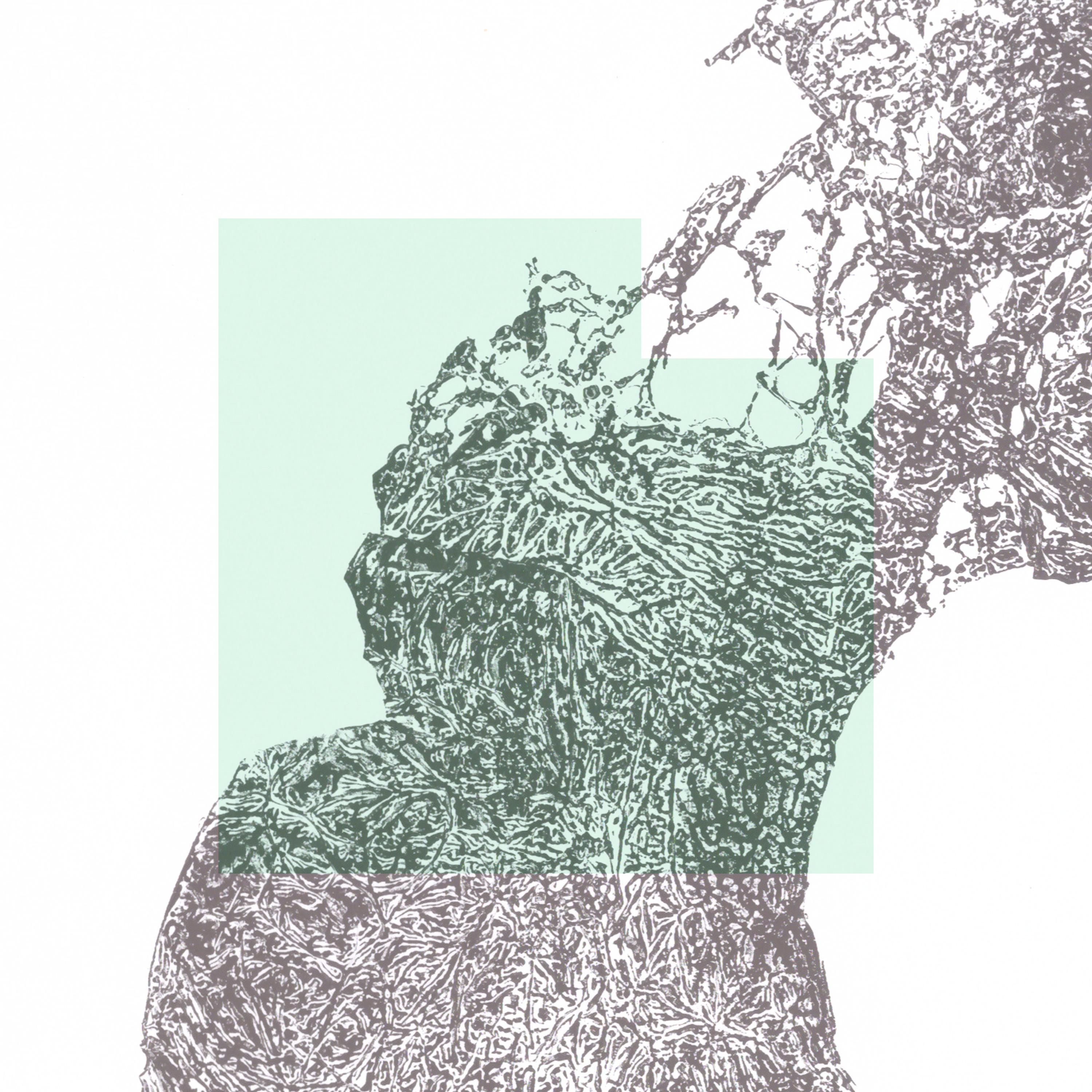 Peace Fragments