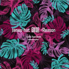 james-hat 剑哈 -Reason (Travis ryan remix )