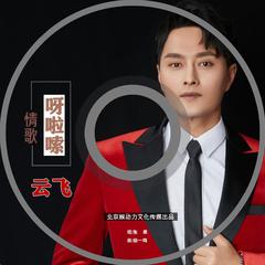 情歌呀啦嗦 (DJ阿卓版)