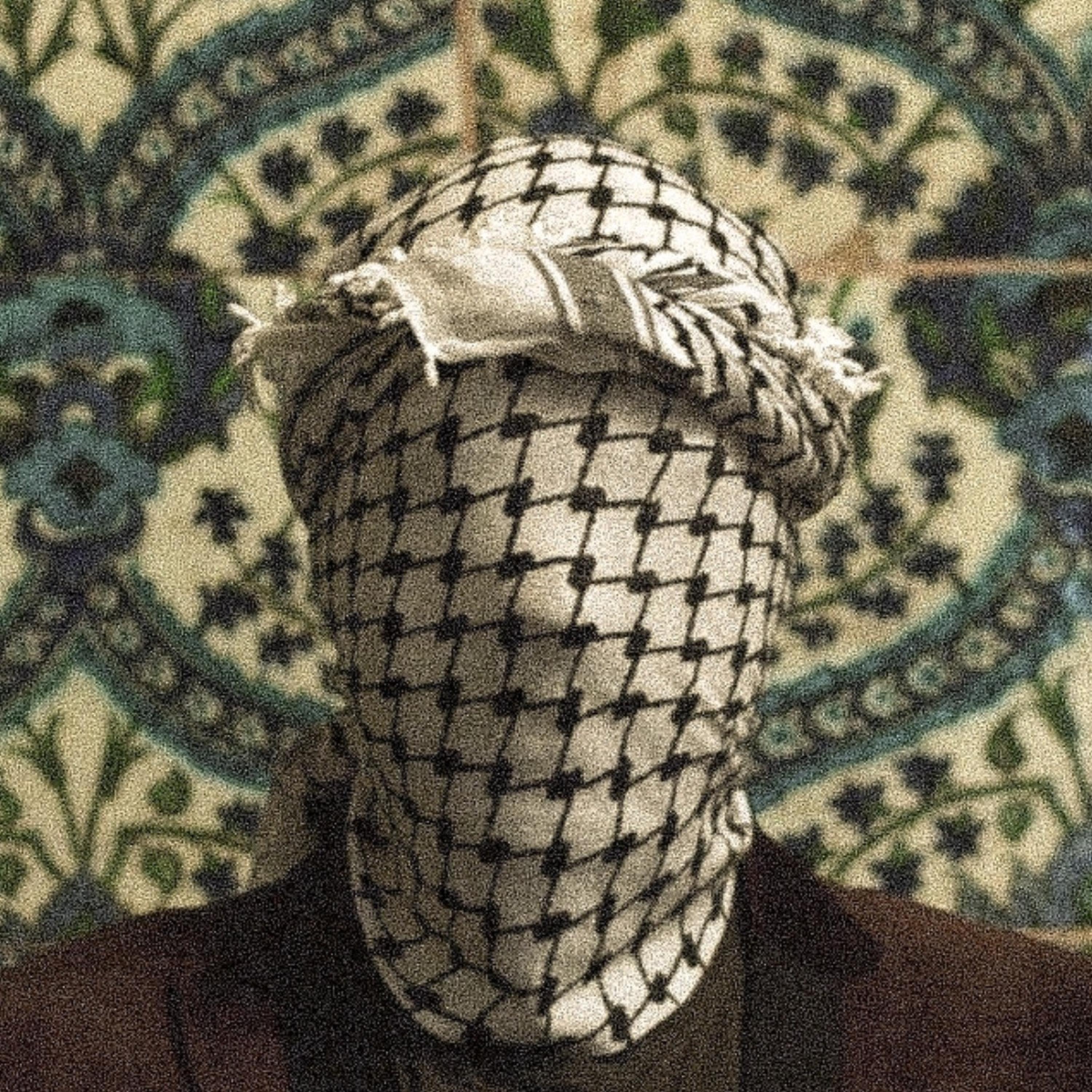 الحلم العربي (URBAN REGGEA) (feat. Fairuz & Elyanna)