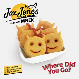 Jax Jones & Mnek - Where Did You Go (VS Instrumental) 无和声伴奏 （升1半音）