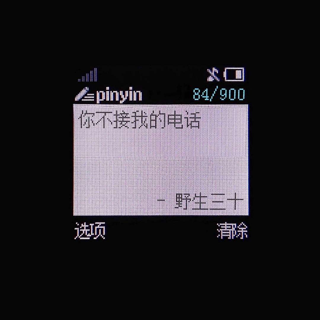 野生三十歌曲封面