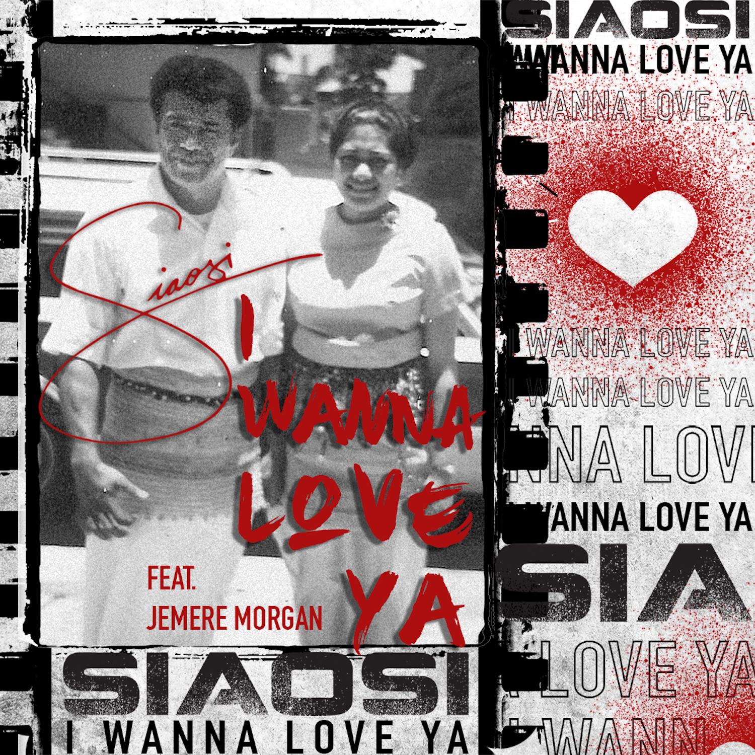 I Wanna Love Ya (feat. Jemere Morgan)