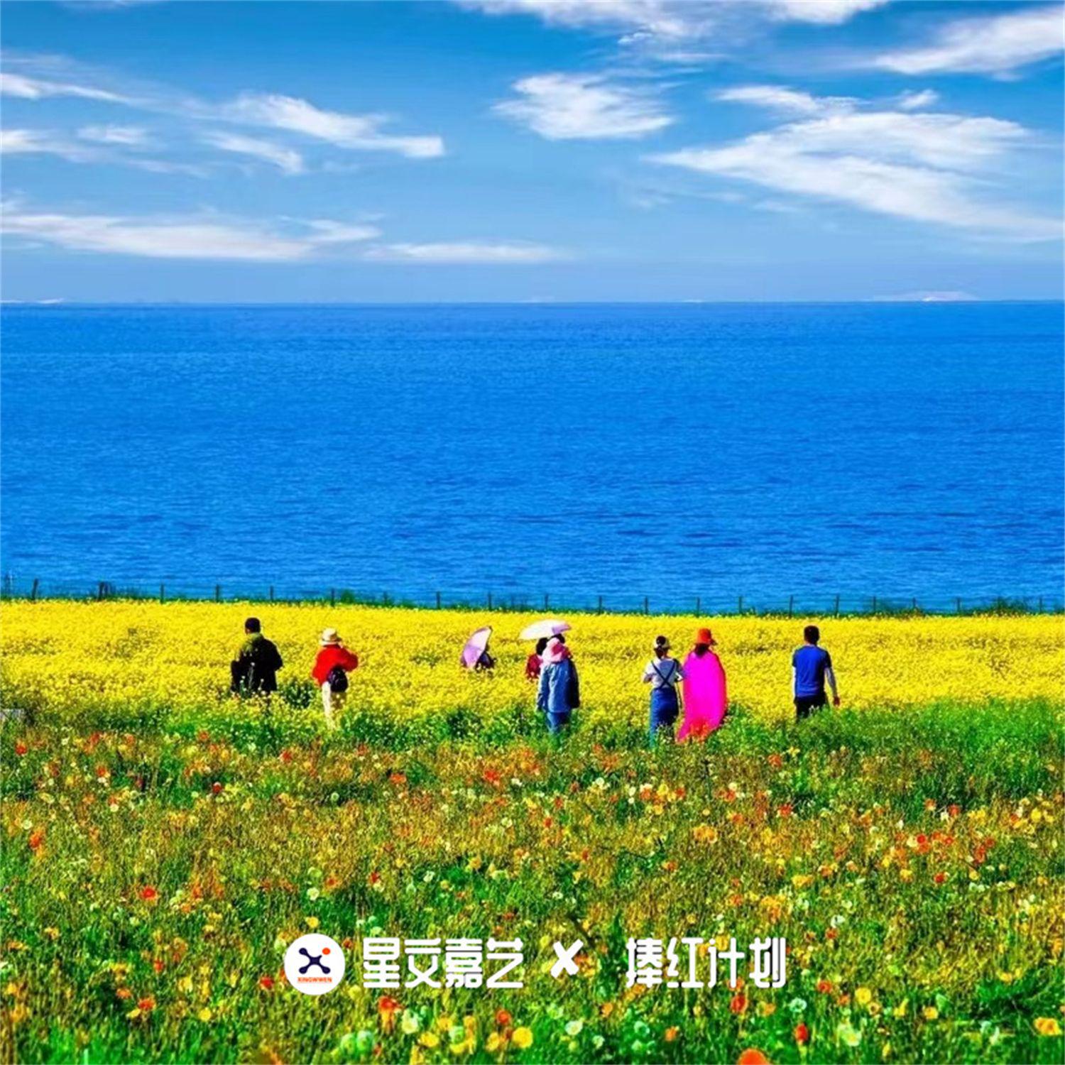 青海花儿歌曲封面