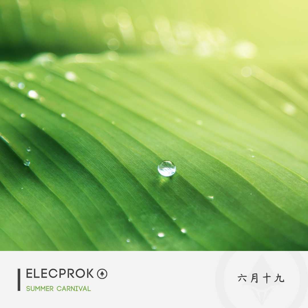 Summer Carnival (Carnival 3rd)