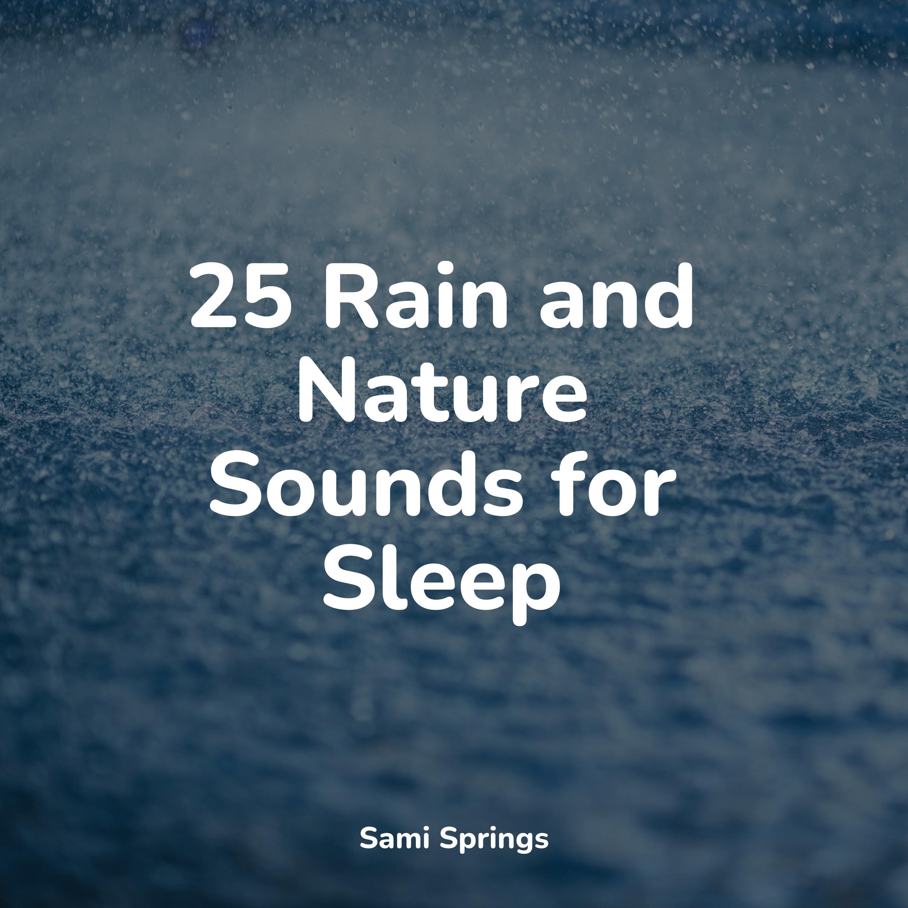 25 Rain and Nature Sounds for Sleep