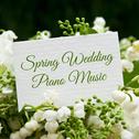 Spring Wedding Piano Music专辑