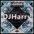 Eagle Eyes (DJHarry Original Mix)