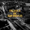 Electro Manele - Tiganca de Bucuresti (Remix)