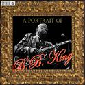 A Portrait Of B.B. King专辑