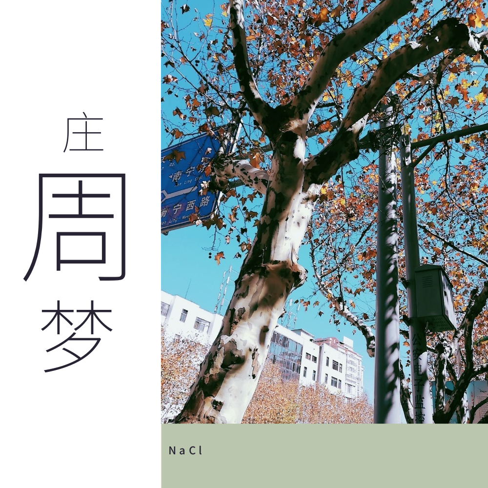 庄周梦专辑