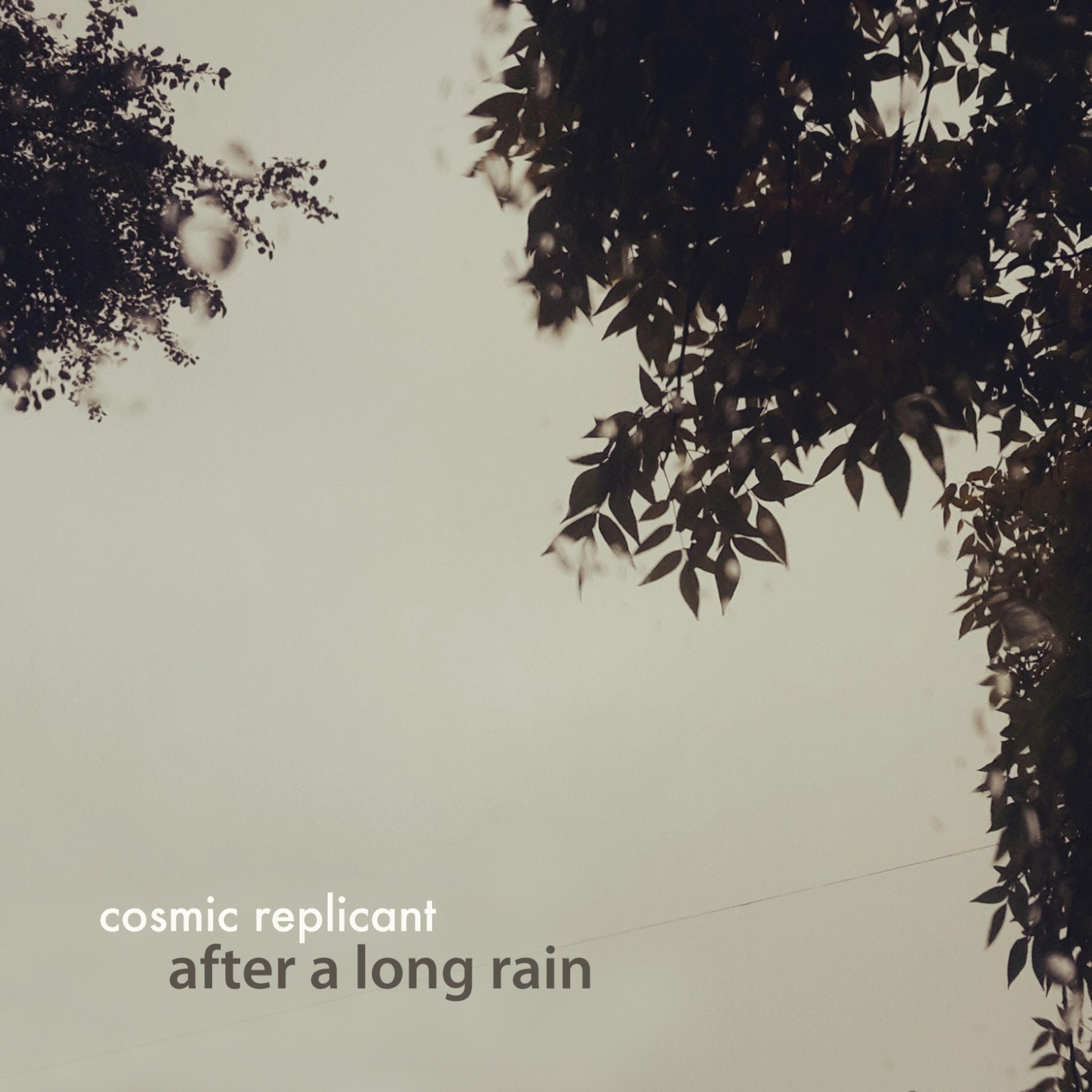 after a long rain