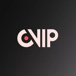 黑胶VIP华语专属歌单