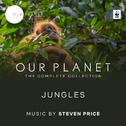 Jungles (Episode 3 / Soundtrack From The Netflix Original Series "Our Planet")专辑