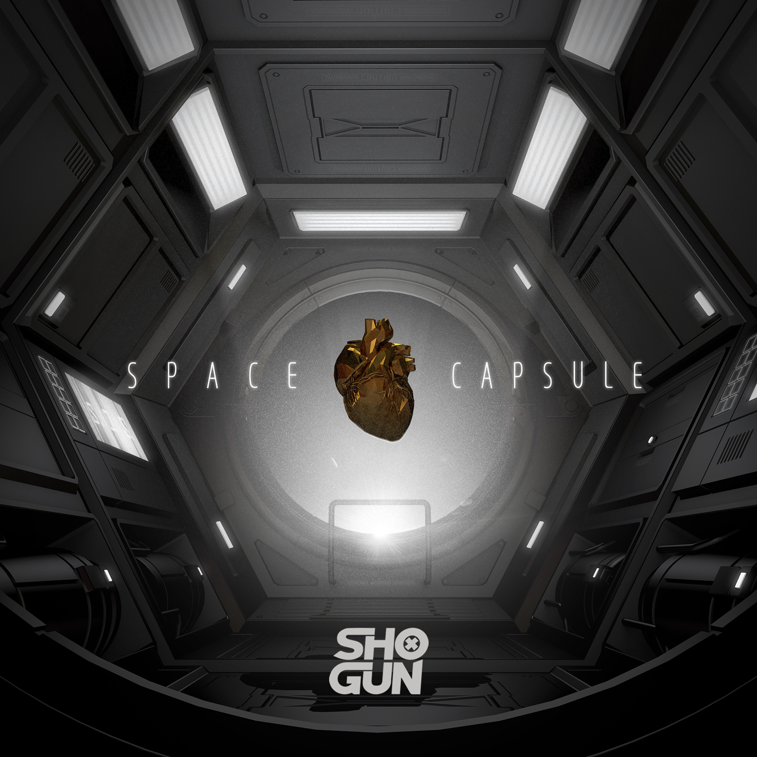 Space Capsule