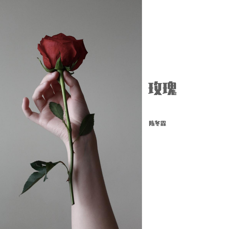 玫瑰
