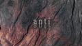 anti专辑