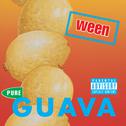 Pure Guava专辑