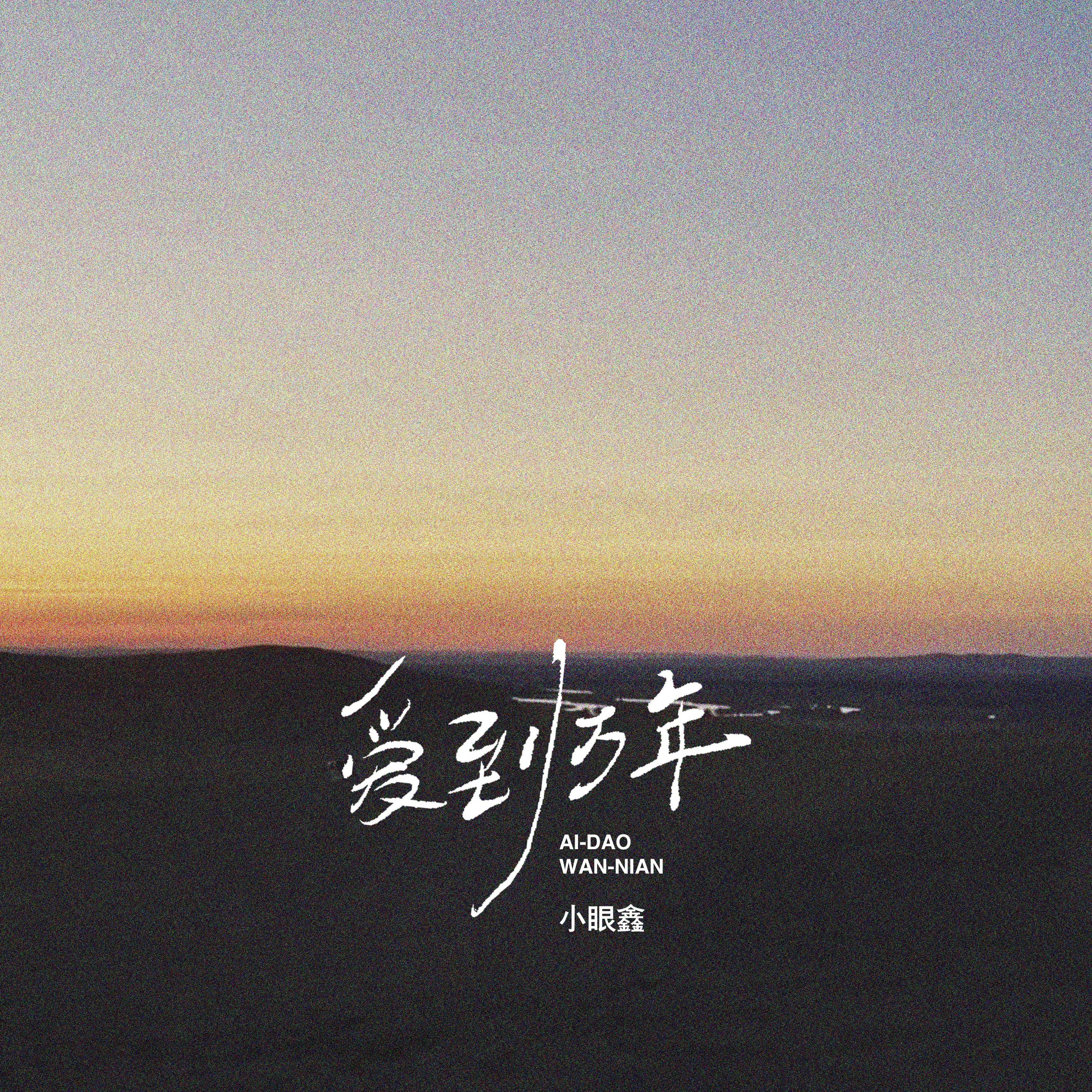 小眼鑫歌曲封面