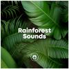 Soothing Music - Rain Relaxation