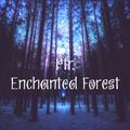 Enchanted Forest