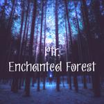 Enchanted Forest专辑