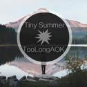 Tiny Summer专辑