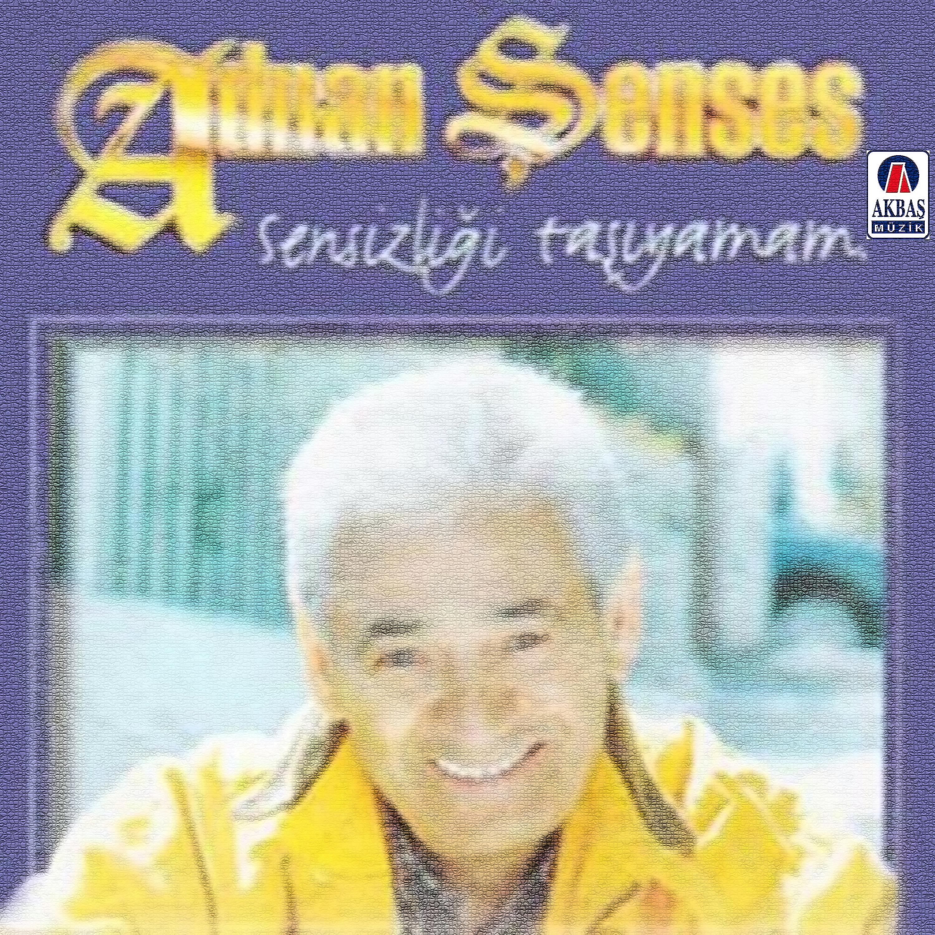 Sensizliği taşıyamam