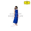 Echoes Of Life (Deluxe Edition)专辑