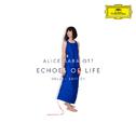 Echoes Of Life (Deluxe Edition)专辑