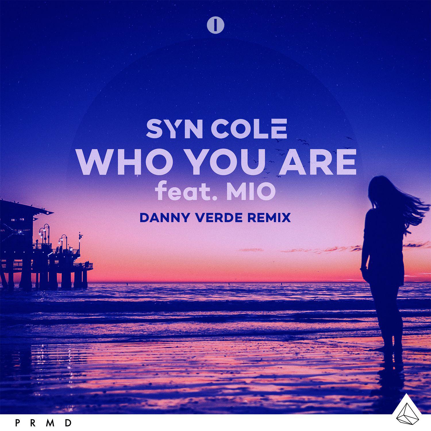 Who You Are (Danny Verde Remix)专辑